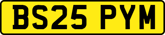 BS25PYM