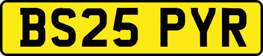 BS25PYR