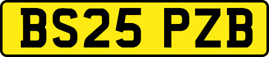 BS25PZB