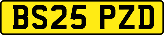 BS25PZD