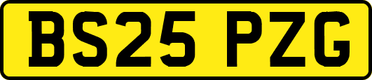 BS25PZG