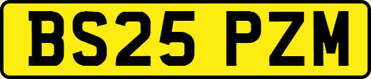 BS25PZM