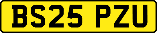 BS25PZU