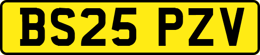 BS25PZV