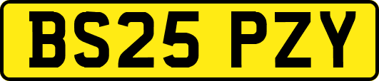 BS25PZY