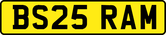 BS25RAM