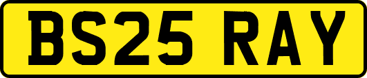 BS25RAY