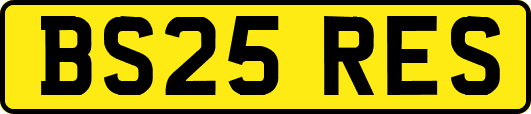 BS25RES