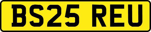 BS25REU