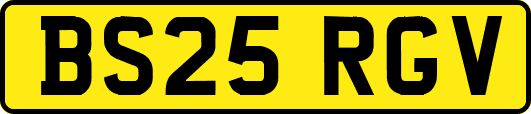 BS25RGV