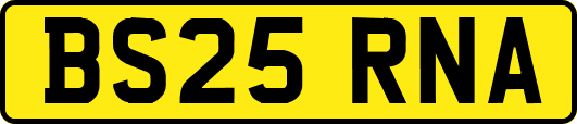 BS25RNA
