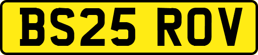 BS25ROV