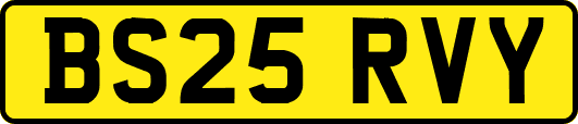BS25RVY