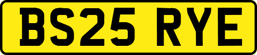 BS25RYE