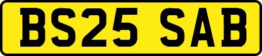 BS25SAB