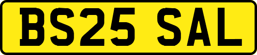 BS25SAL
