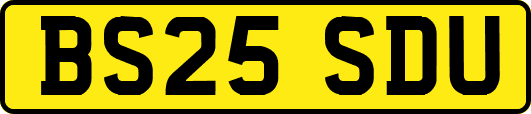 BS25SDU