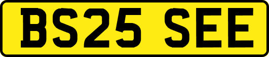 BS25SEE