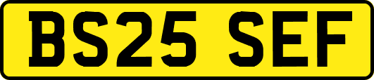 BS25SEF