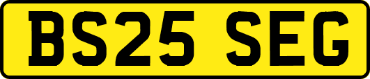 BS25SEG