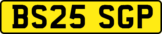 BS25SGP