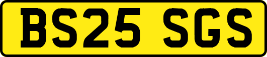 BS25SGS