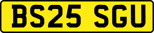 BS25SGU