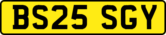 BS25SGY