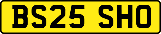 BS25SHO