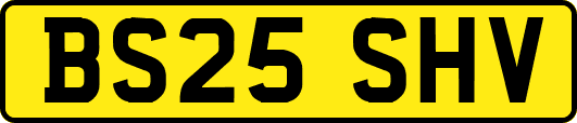 BS25SHV
