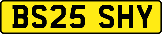 BS25SHY