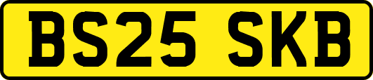BS25SKB