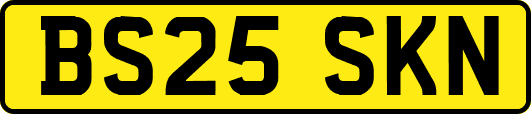 BS25SKN