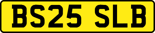 BS25SLB