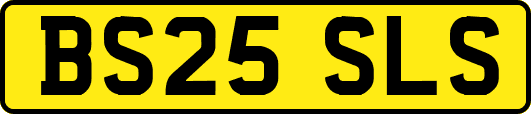 BS25SLS