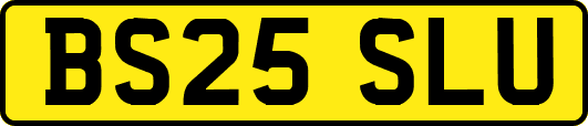 BS25SLU