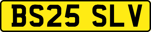 BS25SLV