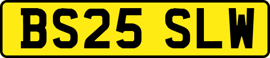 BS25SLW