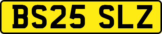 BS25SLZ