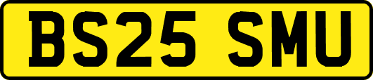 BS25SMU