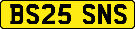 BS25SNS