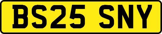 BS25SNY