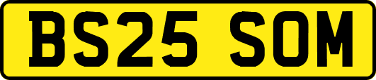 BS25SOM