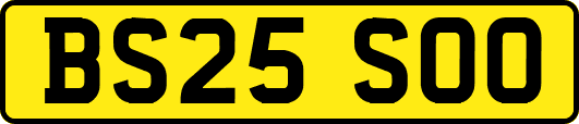 BS25SOO