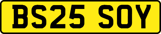 BS25SOY