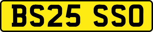 BS25SSO