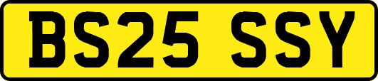 BS25SSY