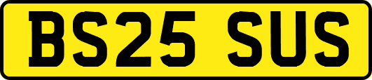 BS25SUS