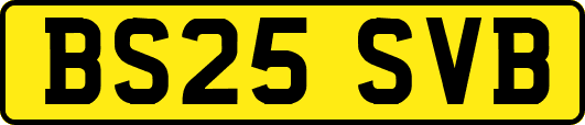 BS25SVB