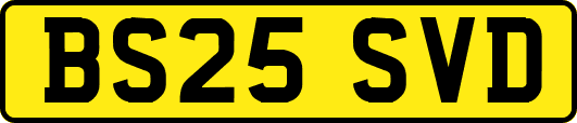 BS25SVD